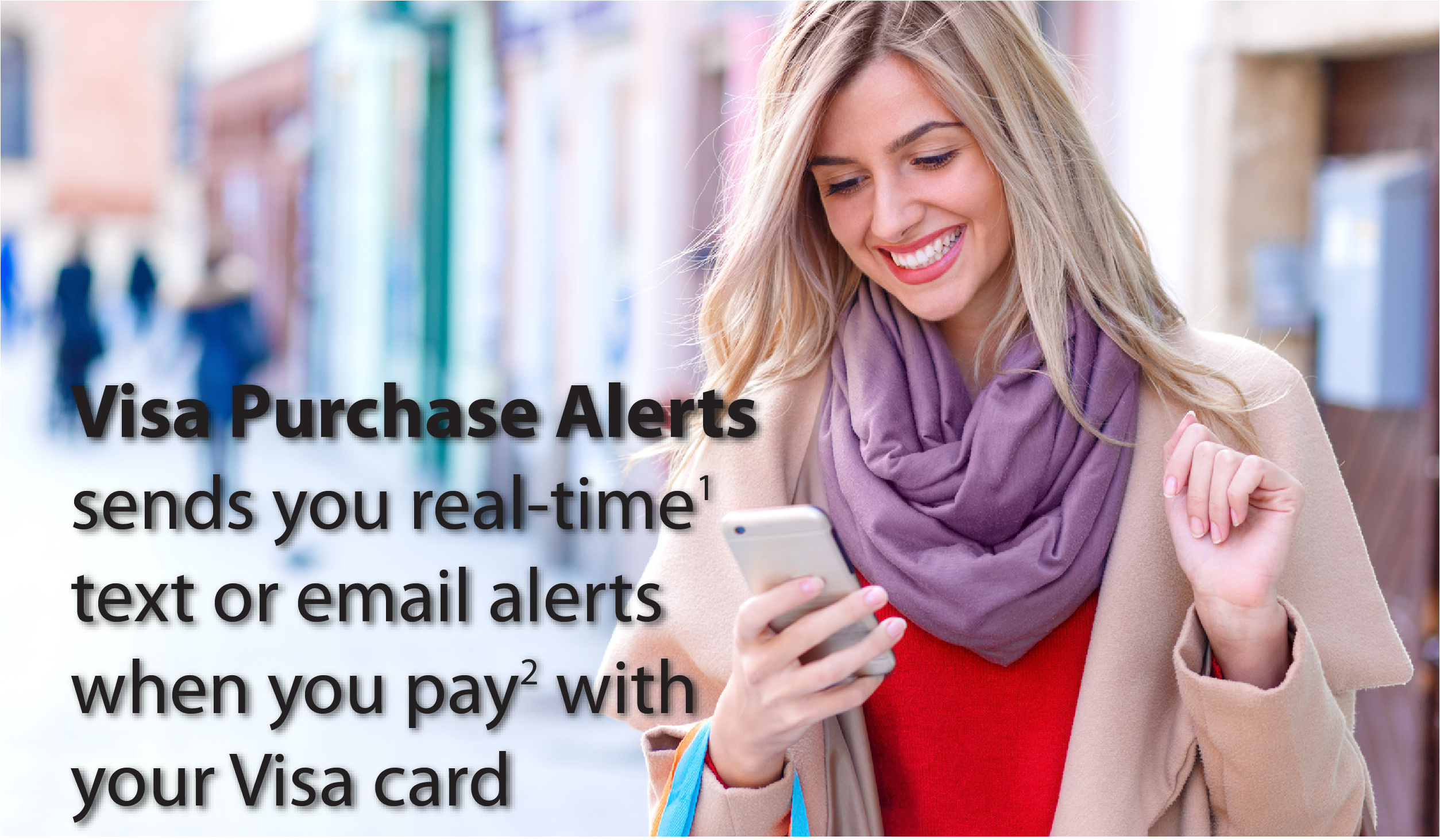 Visa Purchase Alerts